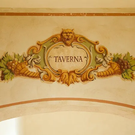 Antico 2* 네그라르